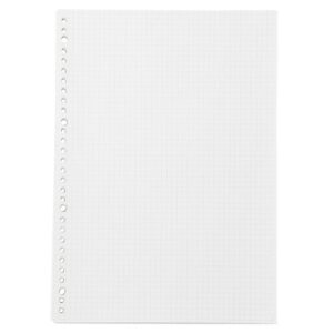 Loose-Leaf Grid Paper 5 mm