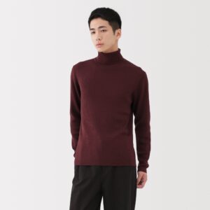 Wool Turtleneck Sweater