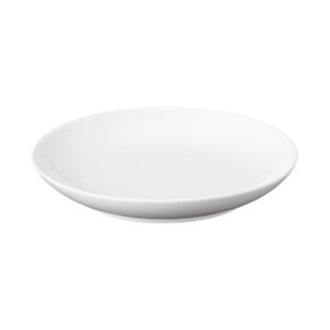 White Porcelain Dish