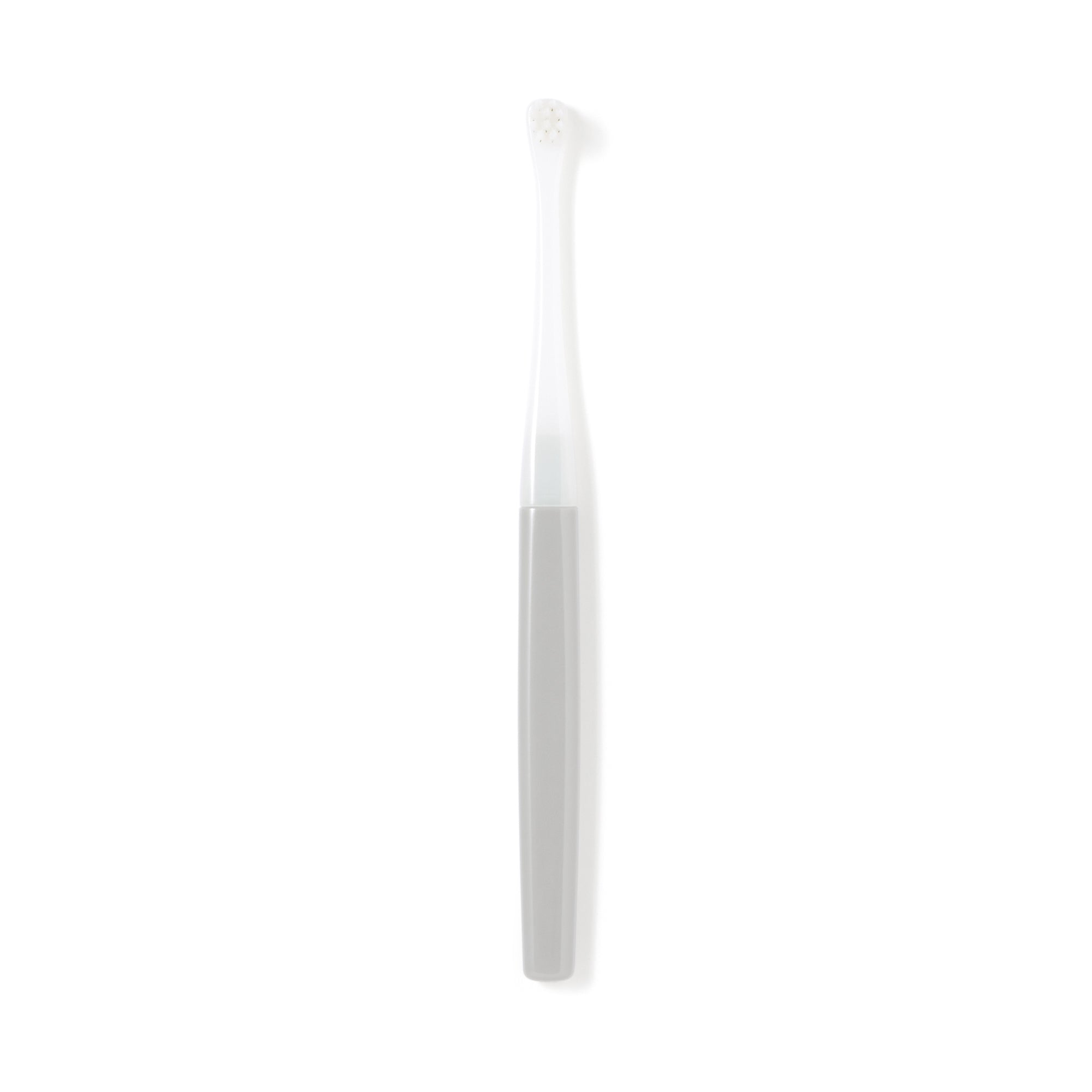 Replaceable Head Compact Soft Toothbrush - Gray