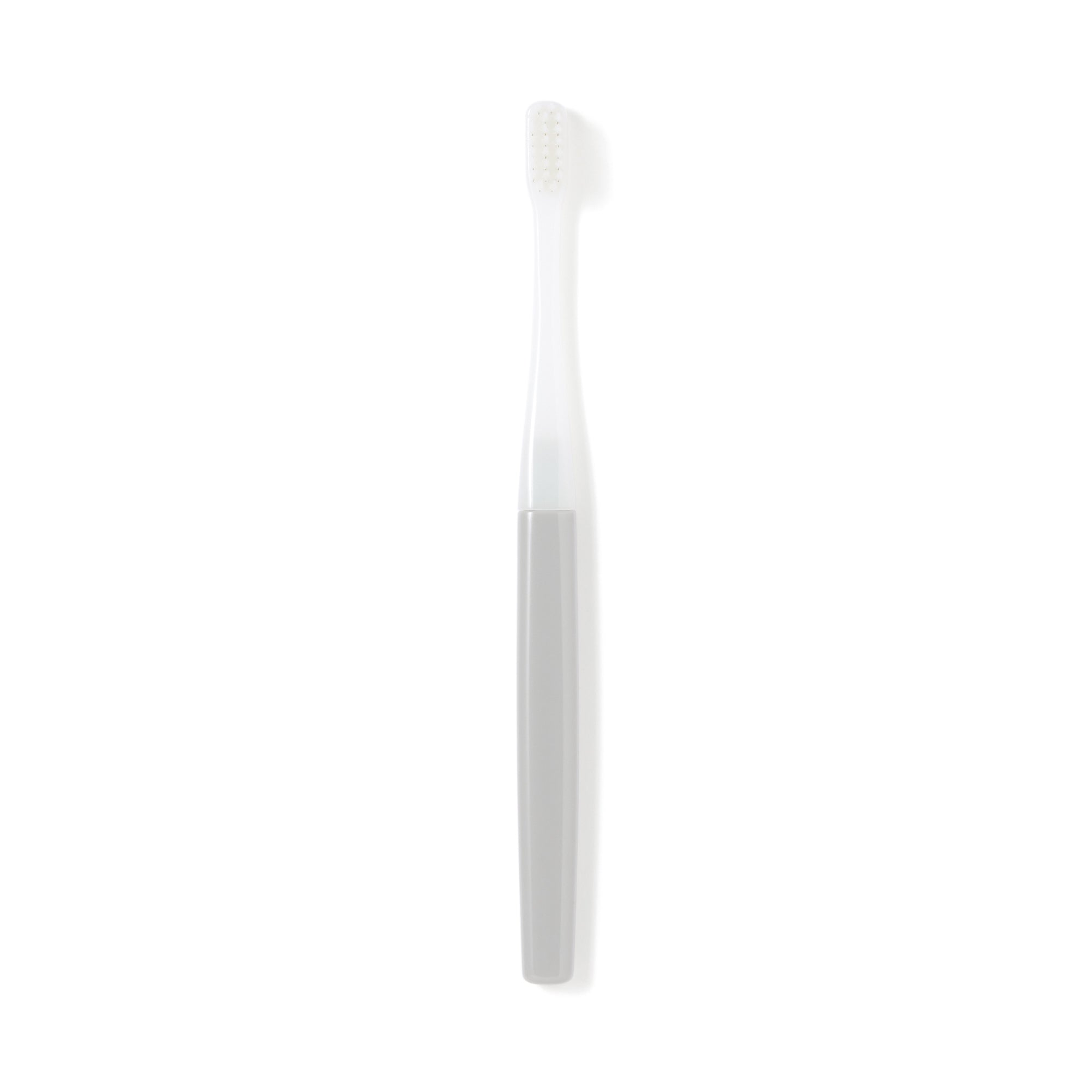 Replaceable Head Soft Toothbrush - Gray