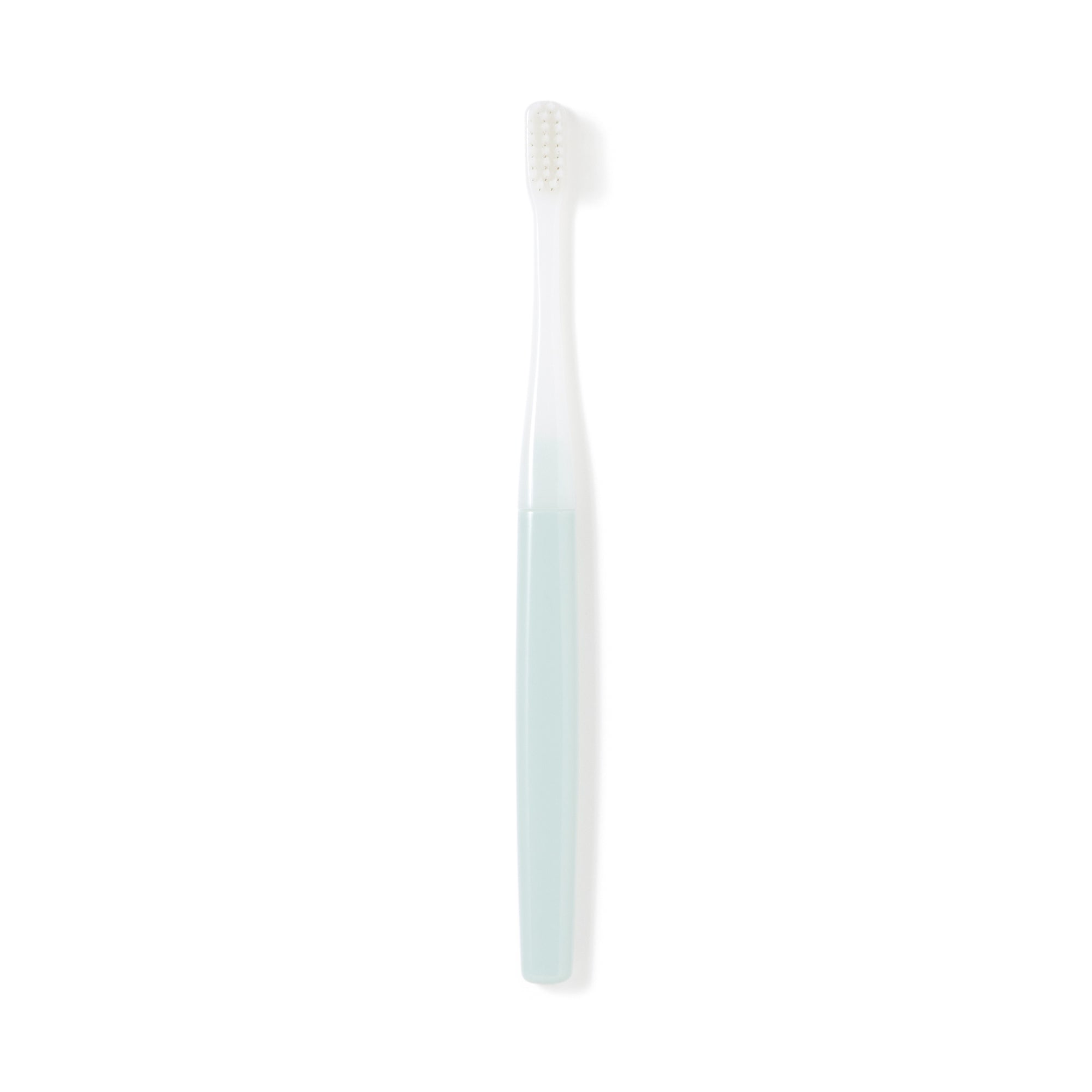 Replaceable Head Soft Toothbrush - Blue