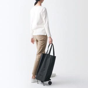 Collapsible Shopping Cart