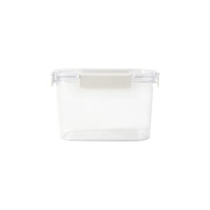 Clear Storage Container - 65.6 fl oz