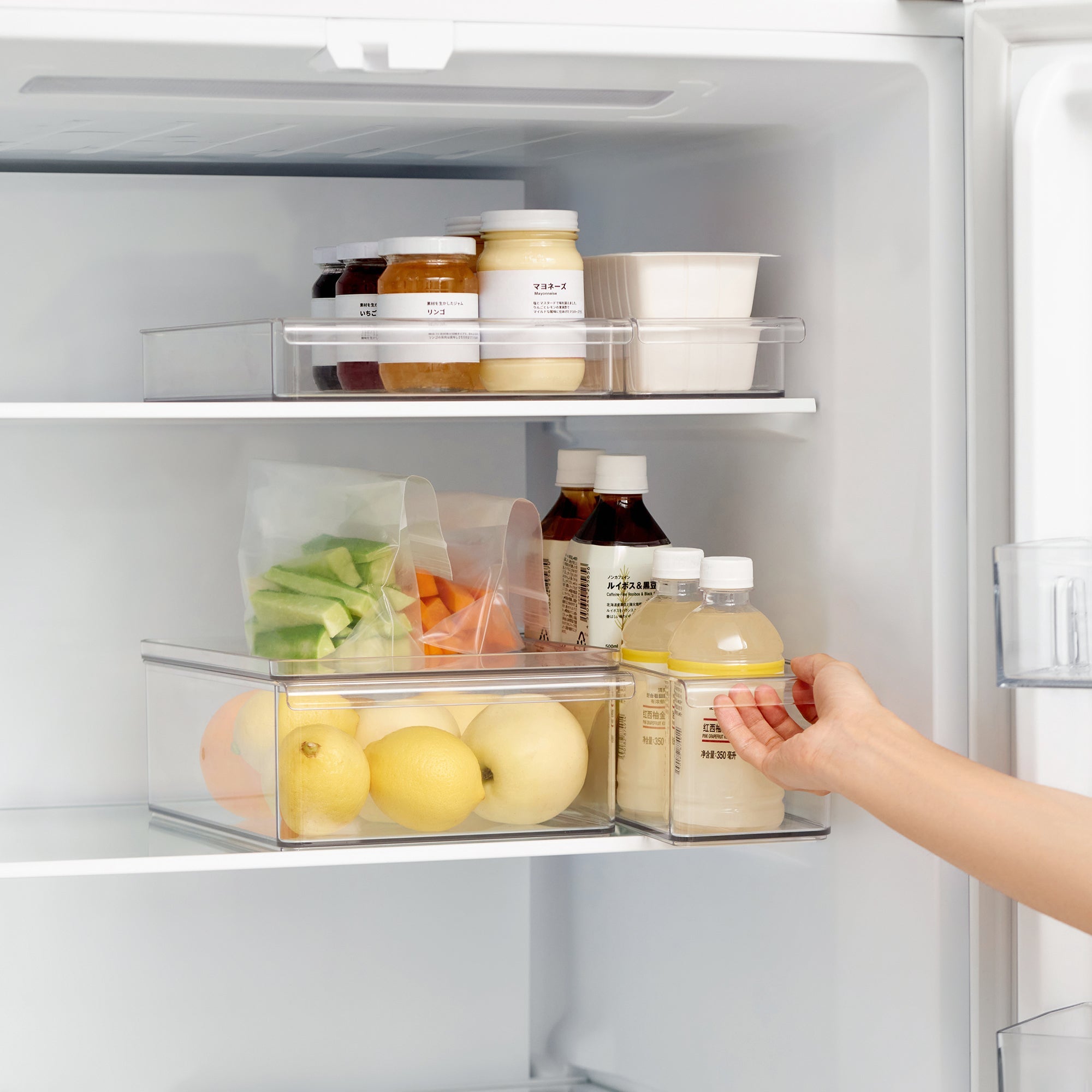 PET Storage Box - Large - Image 15