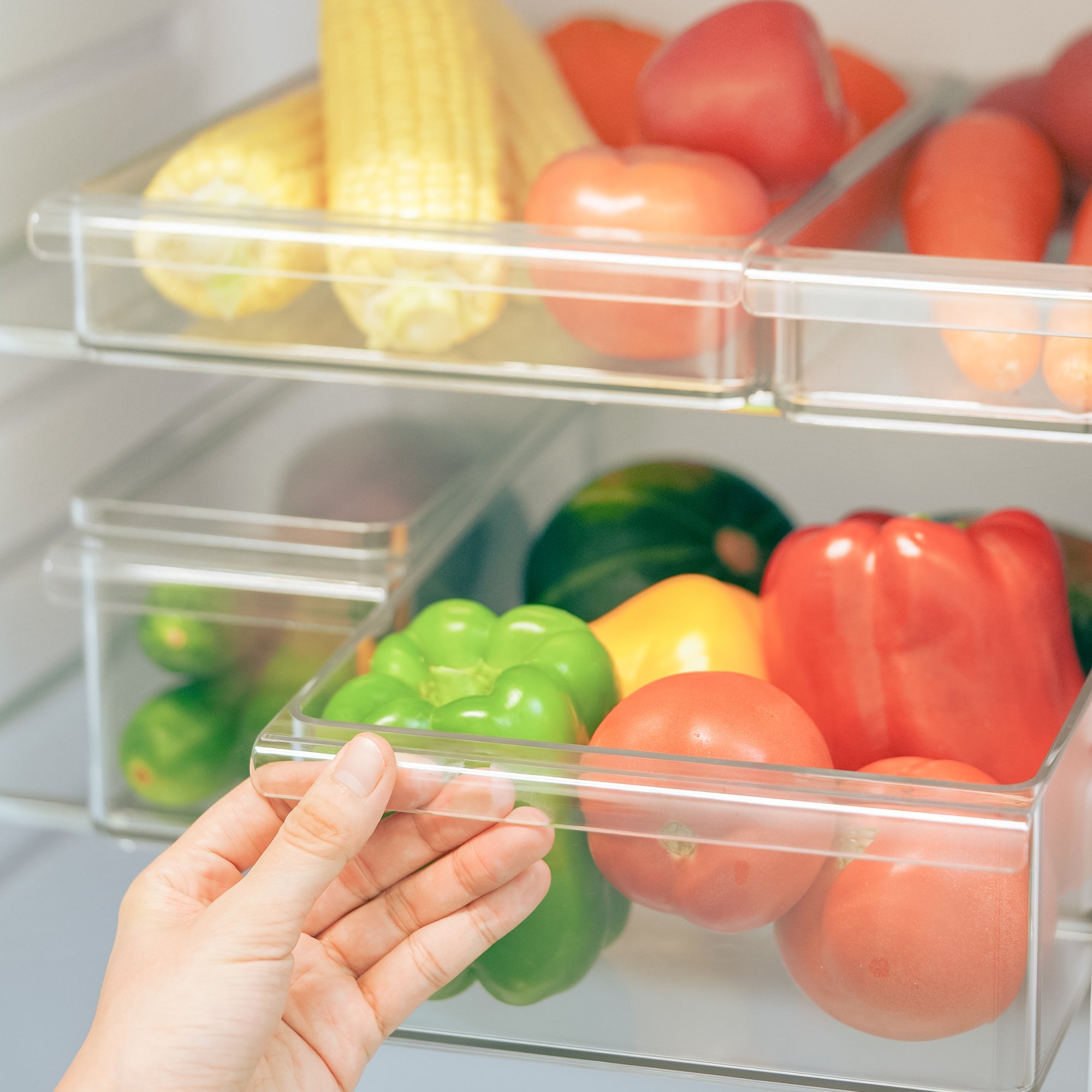 PET Storage Box - Large - Image 9