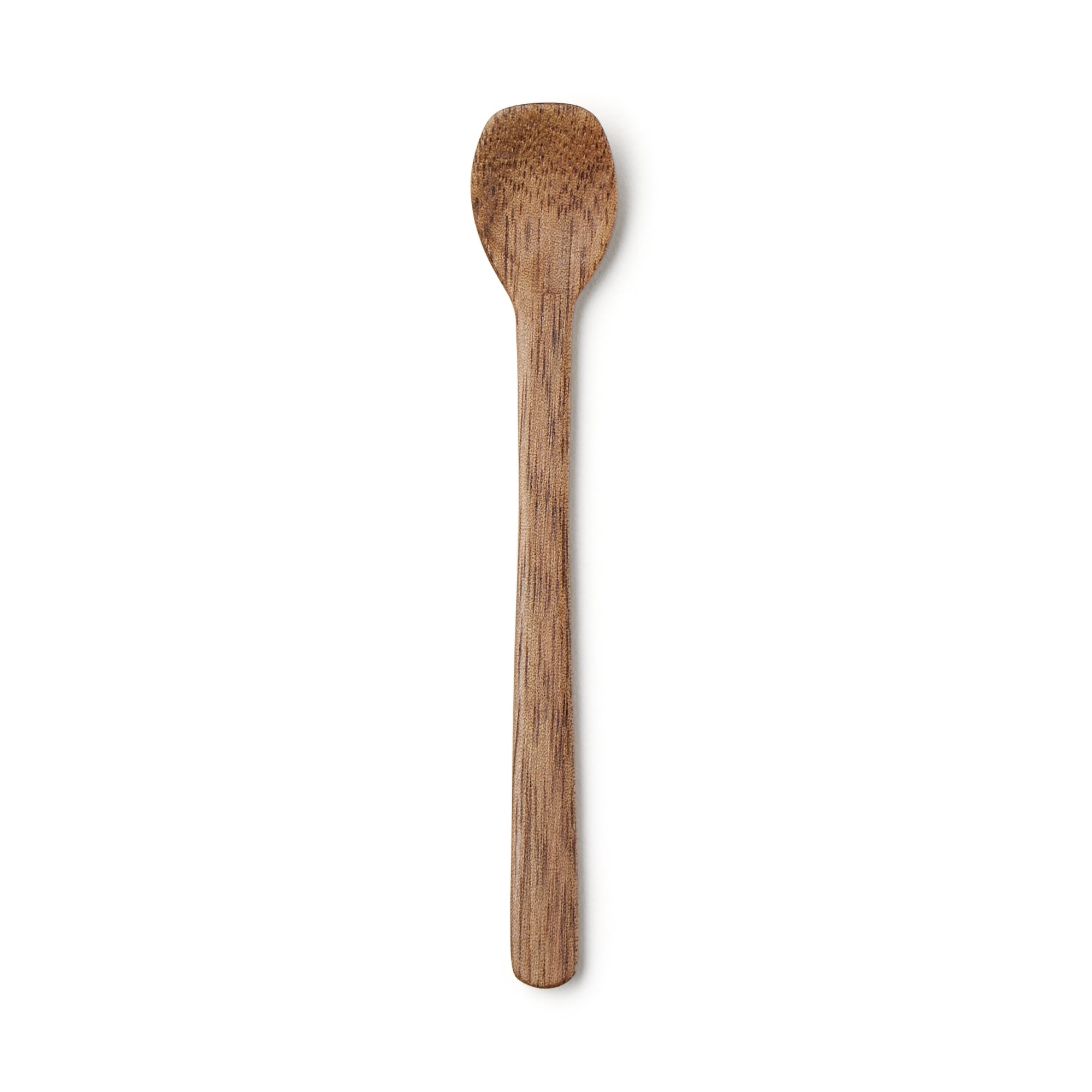 Acacia Spice Spoon with Oil Finish