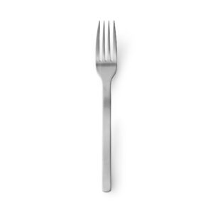 Stainless Steel Straight Handle Fork - Large