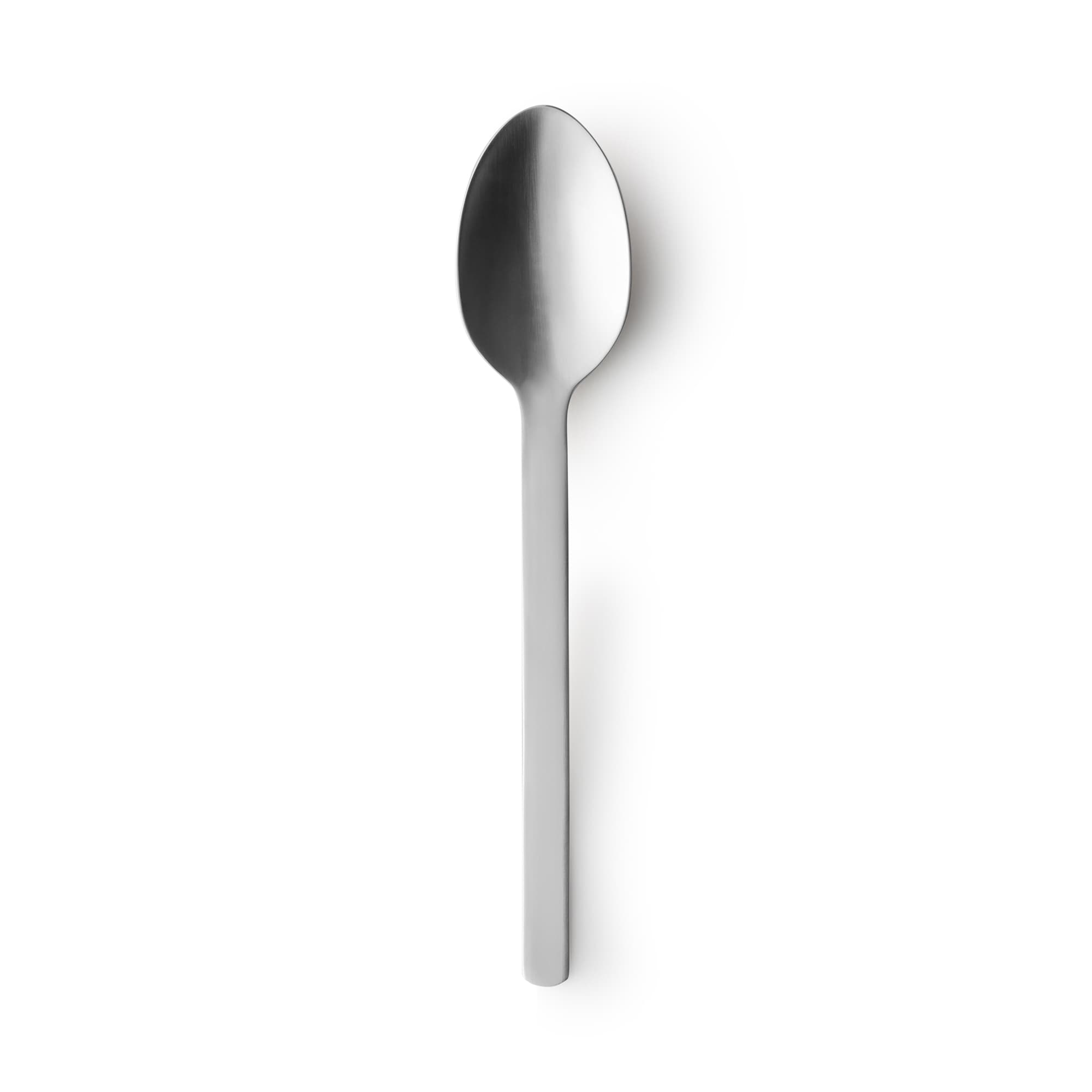 Stainless Steel Straight Handle Spoon - Large