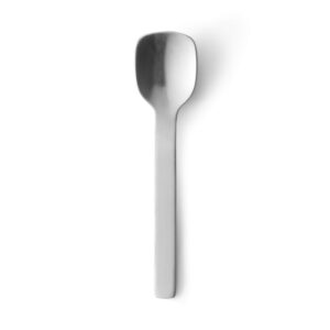 Stainless Steel Ice Cream Spoon